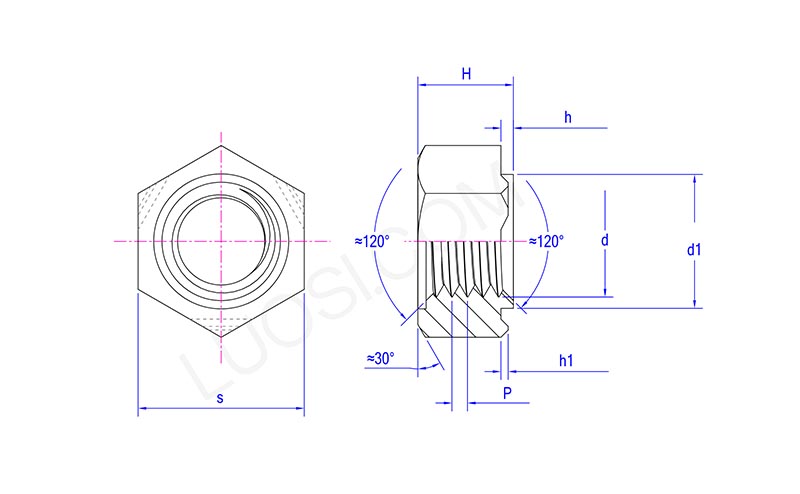 Hexagon Deep Collar Projection Weld Nuts